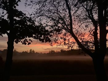 Silhouette trees against sky during sunset