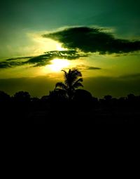 Silhouette trees on landscape against sky at sunset