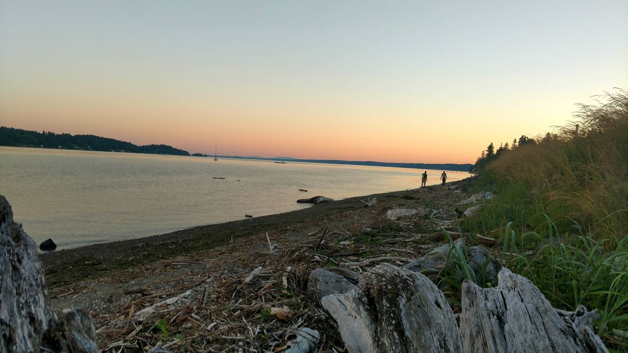 SCENIC VIEW OF BEACH AGAINST CLEAR SKY