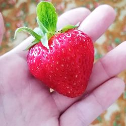 Close-up of hand holding strawberry