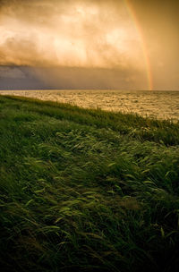 Scenic view of sea at sunset