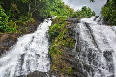 Scenic view of waterfall in forest