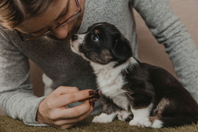 Welsh corgi cardigan cute fluffy dog puppy with a woman. close-up portrait of puppy, funny animal