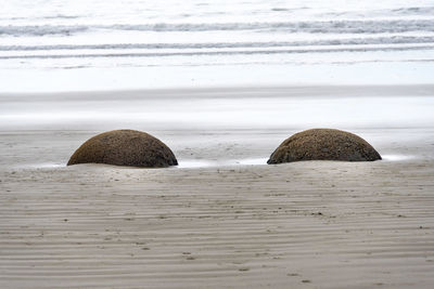 sea