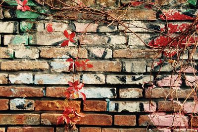 Close-up of tree against brick wall
