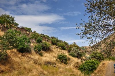 Scenic view of landscape against cloudy sky