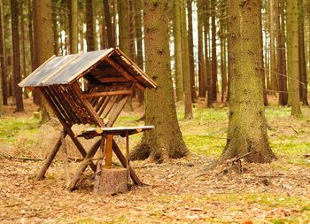 Lifeguard hut on field in forest