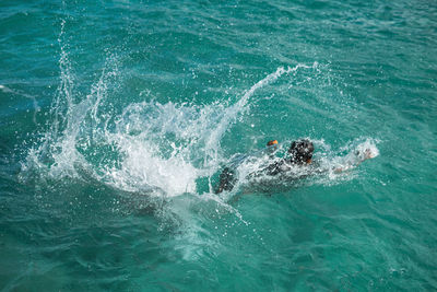 High angle view of man swimming in sea