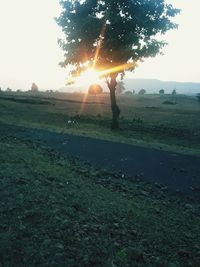 Scenic view of field against sky during sunset