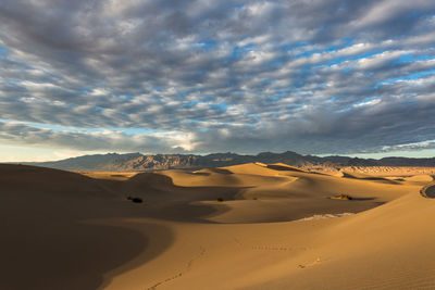 Scenic view of desert against sky