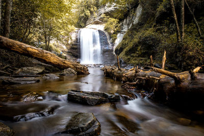 Scenic view of waterfall in forest