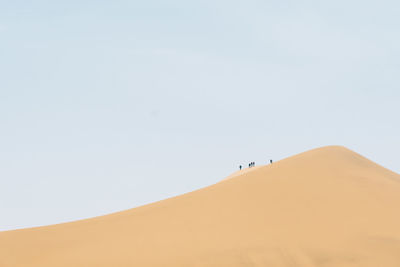 Low angle view of people on desert against clear sky