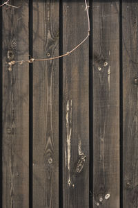 Full frame shot of wooden fence