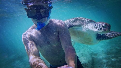 Shirtless young man snorkeling with turtle undersea