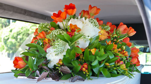Close-up of orange flowering plant