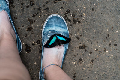 Low section of woman wearing shoes