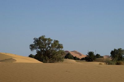 Scenic view of desert against clear sky