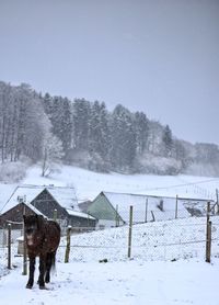 Snow covered field by trees against sky