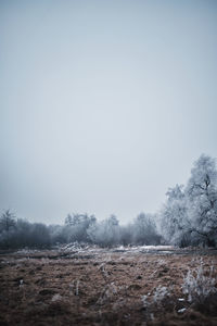 Scenic view of field against clear sky during winter