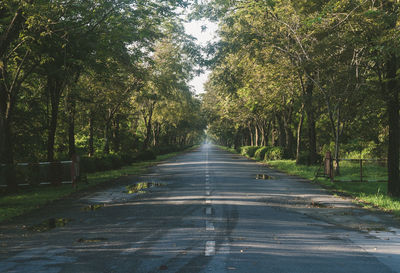 Empty road amidst trees in forest