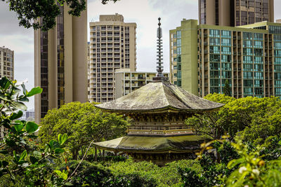 Trees and modern buildings in city