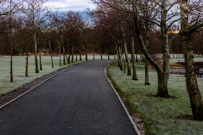 Empty road along trees