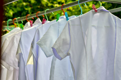 Clothes drying on clothesline 