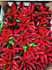 Full frame shot of red chili peppers for sale in market