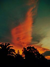 Silhouette of trees against dramatic sky