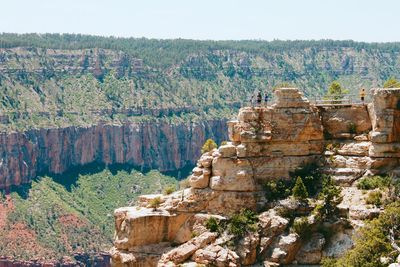 View of trees on cliff