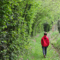 Boy in red on a country lane
