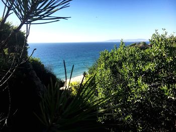 Scenic view of sea against clear blue sky