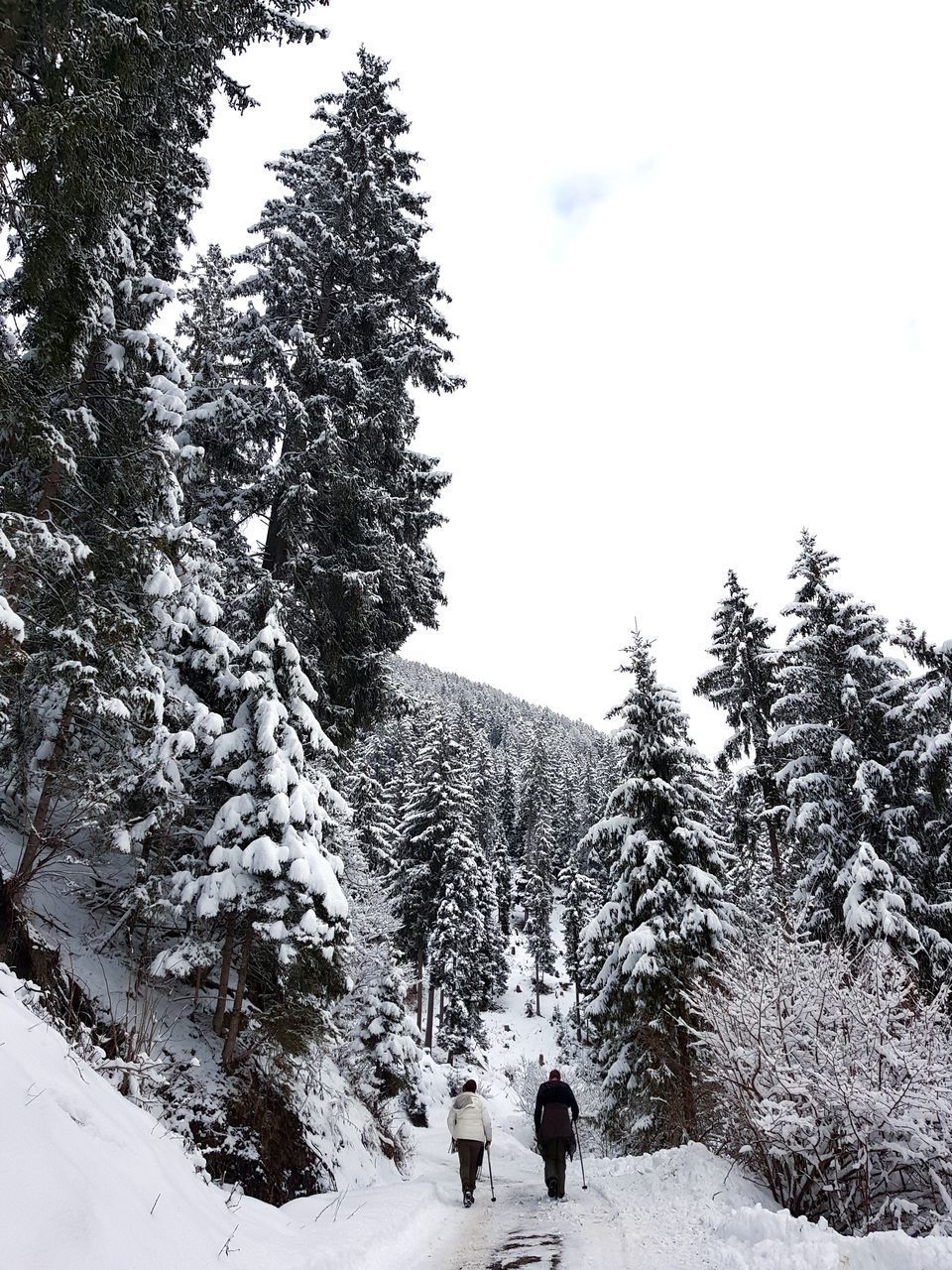 REAR VIEW OF PEOPLE WALKING ON SNOW COVERED LANDSCAPE