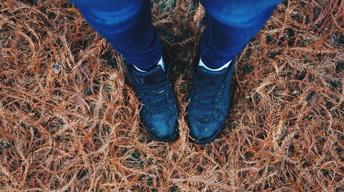 Low section of man standing on field