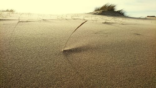 Sand on field against sky