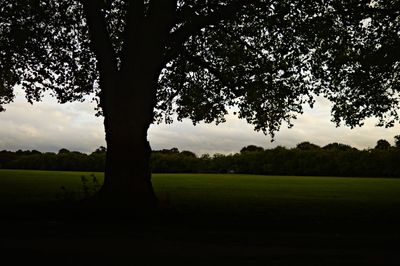 Silhouette trees on field against sky