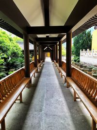 Empty corridor along trees