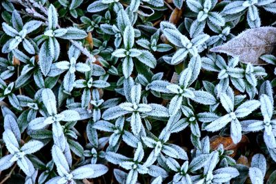 Full frame shot of white background