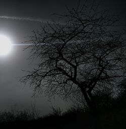 Low angle view of bare trees against sky