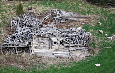 Stack of logs on field