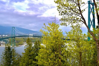 Low angle view of bridge against sky