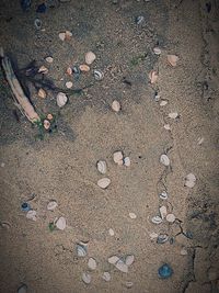 Full frame shot of beach