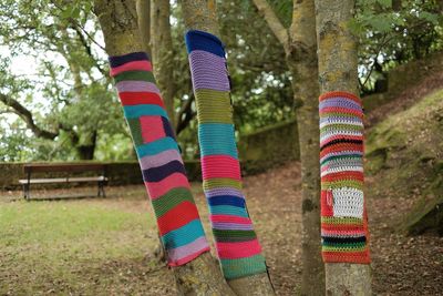 Colorful socks on trees at park