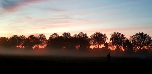 Silhouette trees on field against sky during sunset