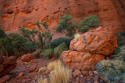 Scenic view of rock formation on land