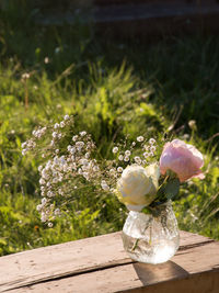 Close-up of flowers blooming outdoors