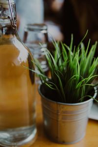 Close-up of drink in jar