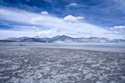 Salar de aguas calientes and lagoon in the altiplano,  atacama desert, antofagasta region, chile
