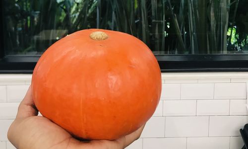 Close-up of hand holding orange pumpkin