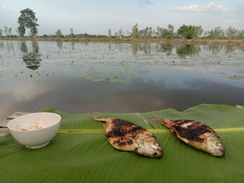 Close-up of food on table in lake